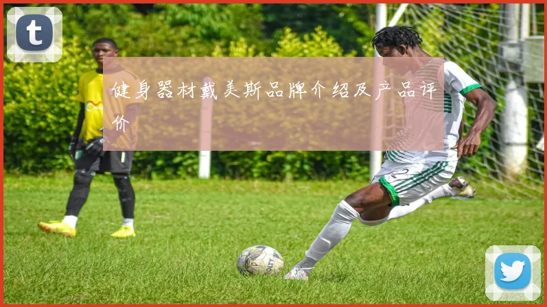 健身器材戴美斯品牌介绍及产品评价