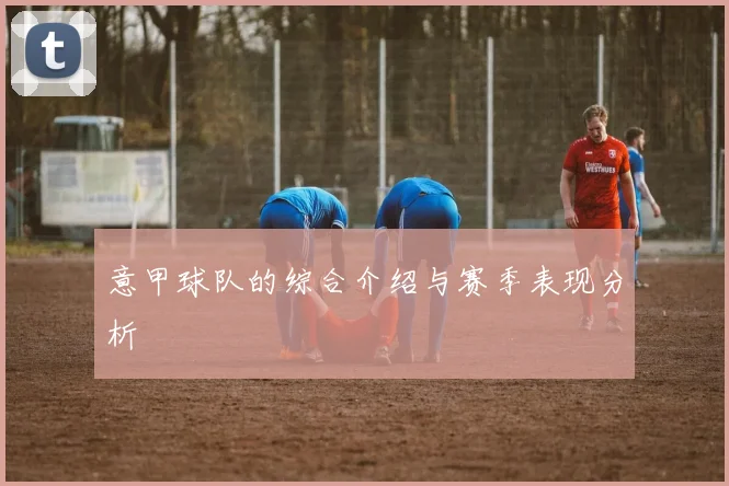 意甲球队的综合介绍与赛季表现分析