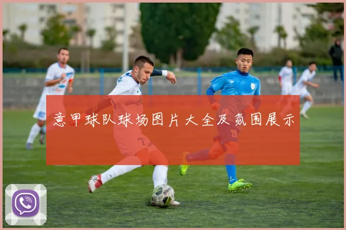 意甲球队球场图片大全及氛围展示