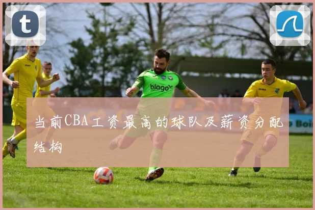 当前CBA工资最高的球队及薪资分配结构