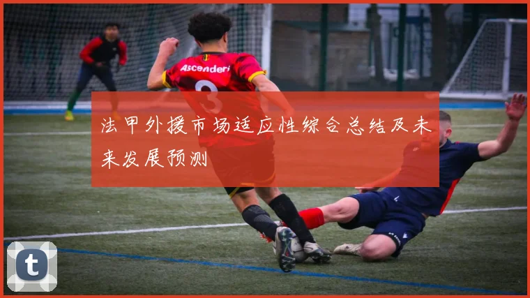 法甲外援市场适应性综合总结及未来发展预测
